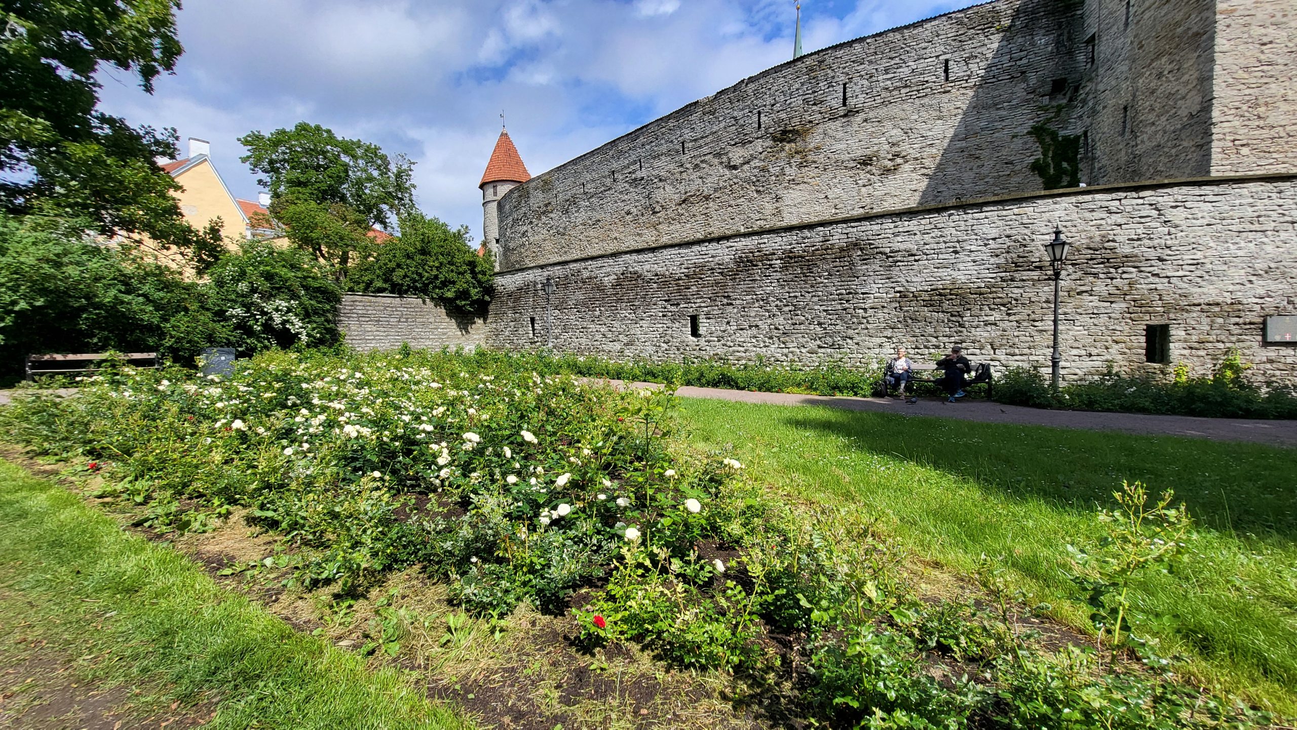 Dannebrog